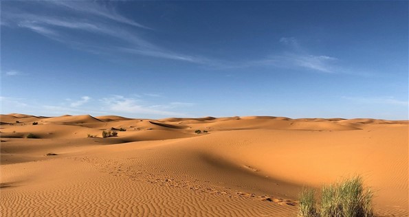 Deserto