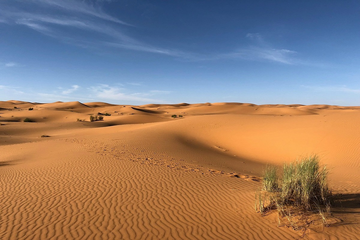 Deserto